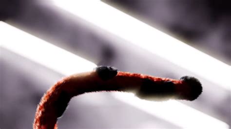 Slideshow: Sackboy: A Big Adventure PlayStation 5 Screenshots