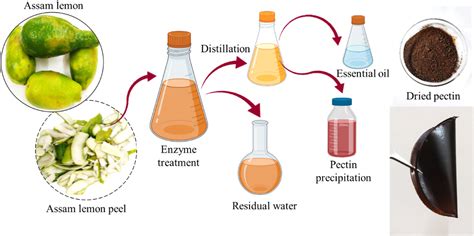 A cleaner and eco-friendly approach to simultaneous extraction and ...