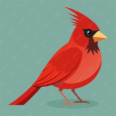 Cardinal Bird Clip Art Vector Illustration Design | Premium AI ...