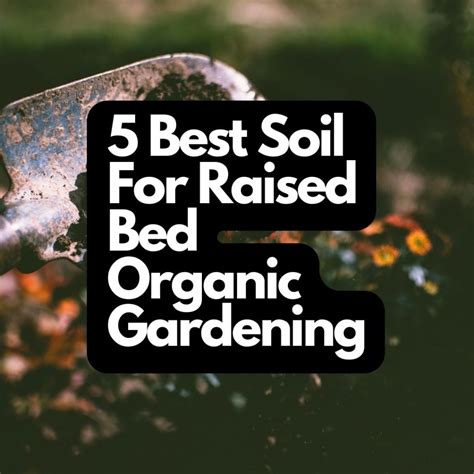 5 Best Soil For Raised Bed Organic Gardening -Organic Gardening