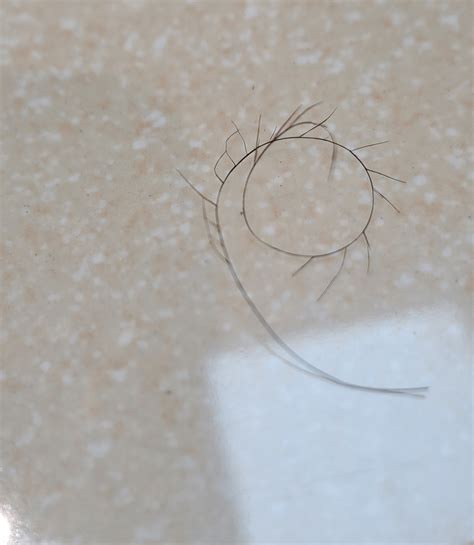Hair strand has multiple split ends? : r/Hair