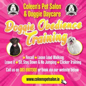 Doggie Obedience Course , Butterstream Business Park, Clane, Ireland ...
