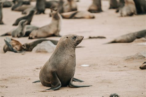 Anime+Girl+Feet+Pfp Photos, Download The BEST Free Anime+Girl+Feet+Pfp ...