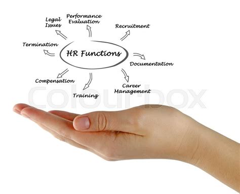 HR Function Definition 的图像结果