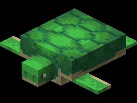 Image result for MinecraftTurtle Build
