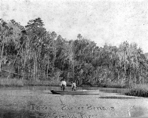 The Chronicle 99 PA 8-15 Three Sister Springs Crystal River | FWS.gov