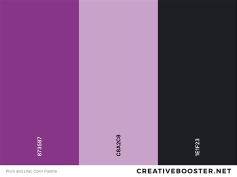 25+ Best Colors That Go With Lilac (Color Palettes) – CreativeBooster