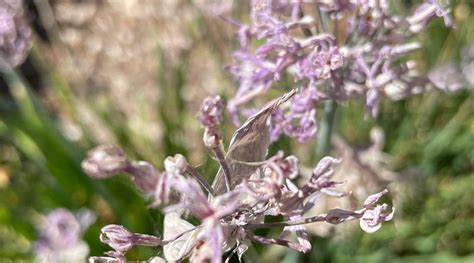 DR JAMES PARK CLOCK TOWER (2025) All You Need to Know BEFORE You Go ...