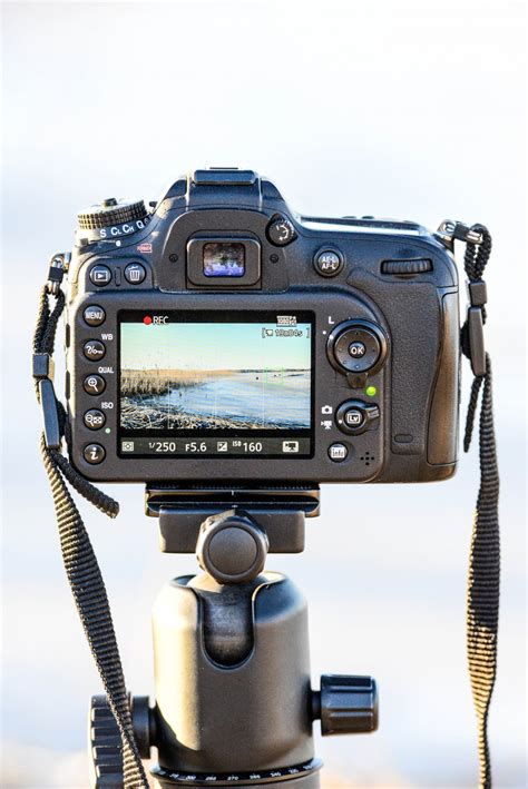 Image result for Camera Raw Plugin in Computer