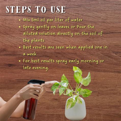 Plant Growth Booster