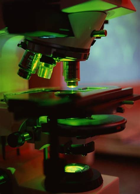 Microscope 的图像结果