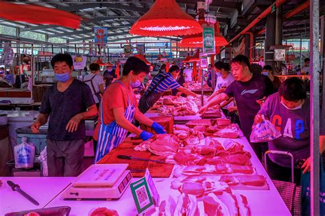 湖南首家生鲜早市开门纳客 打造“高级农贸市场”_新闻中心_新浪网