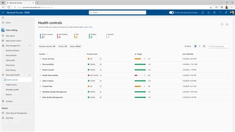 Azure Data Governance 的图像结果