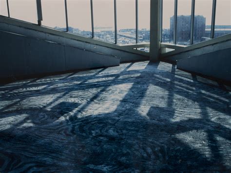 Shelagh Wakely | Meer