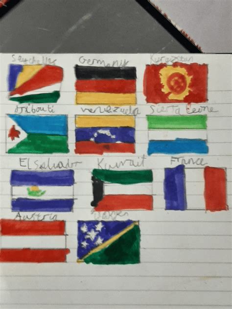 Drawing Every Flag in the World 的图像结果