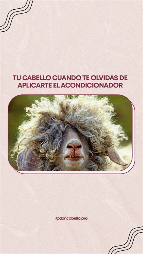 Con nuestro Leave In Conditioner tu cabello quedará suave y sedoso ...