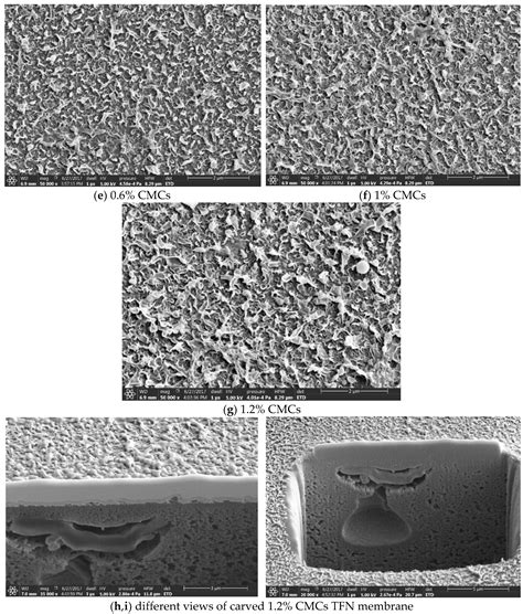 Role of Cellulose Micro and Nano Crystals in Thin Film and Support ...