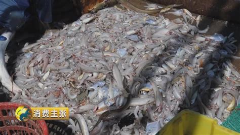 2017年9月17日，中国渔船从中国东部浙江省舟山市一个港口出发捕鱼高清摄影大图-千库网
