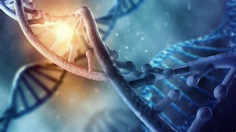 Life's Greatest Miracle | NOVA | PBS