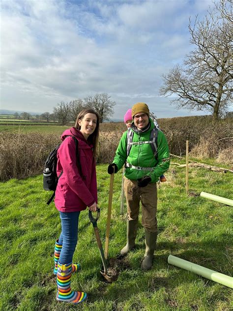 Tree-Planting Day 的图像结果
