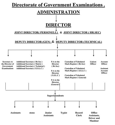 Department of school education