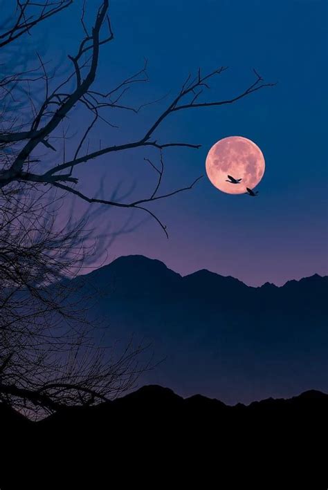 “月亮是，我能给你的最好的东西”_腾讯新闻