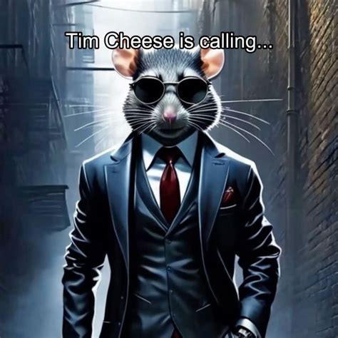 Image result for Tim Cheese Escae