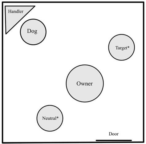 Animals | Special Issue : Dog–Human Relationships: Behavior, Physiology ...