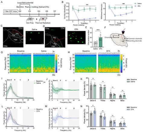 Sodium Leak Channel in Glutamatergic Neurons of the Lateral ...
