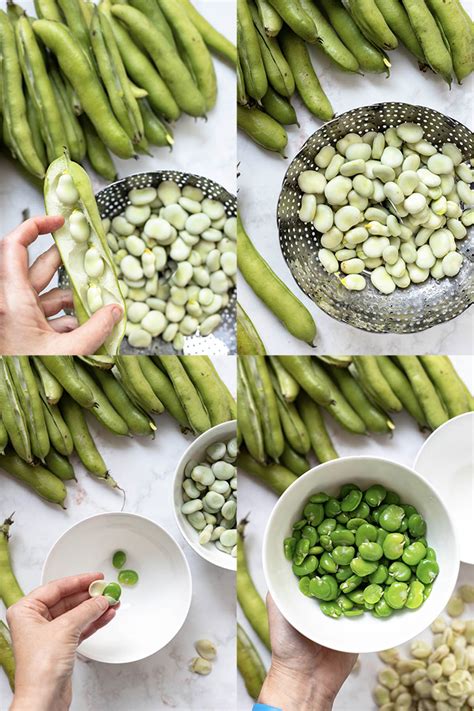 Fresh Fava Bean Salad with Arugula, Fennel and Radishes | Elle Republic