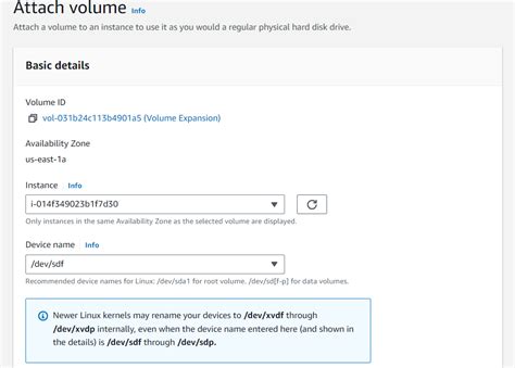 Image result for Create and Attach an Amazon EF-S Volume Using Linux Instance
