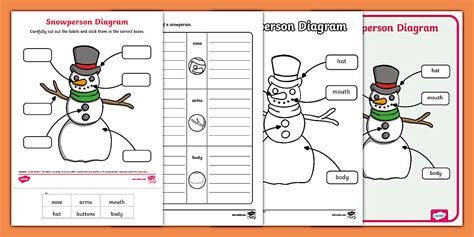 Snowperson Labelling Diagram Activity Pack (teacher made)