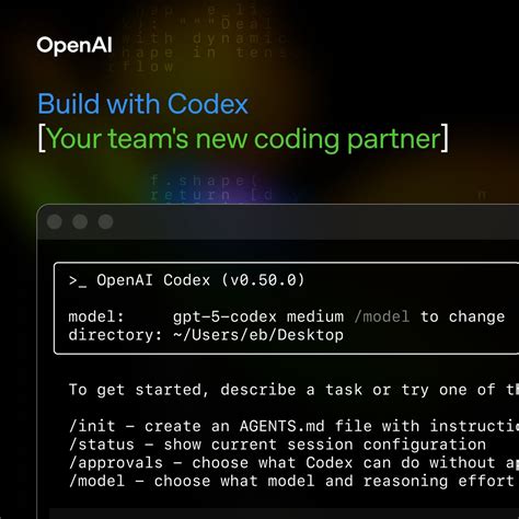 Codex Openai Code Example 的图像结果