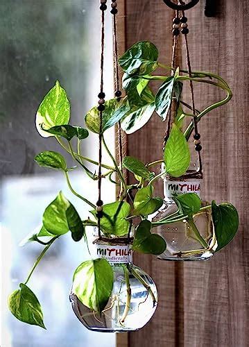 Buy Mithila Handicrafts 4.7 Inch Ball Shaped Round Glass Vase | for ...