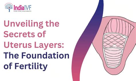 Understanding Uterus Layers | India IVF Fertility