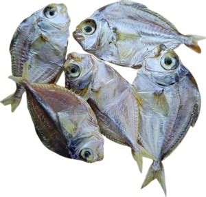 AL-HAQQ Silver Belly Dry Fish (Mullan) Whole Price in India - Buy AL ...