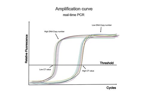 qPCR Method 的图像结果