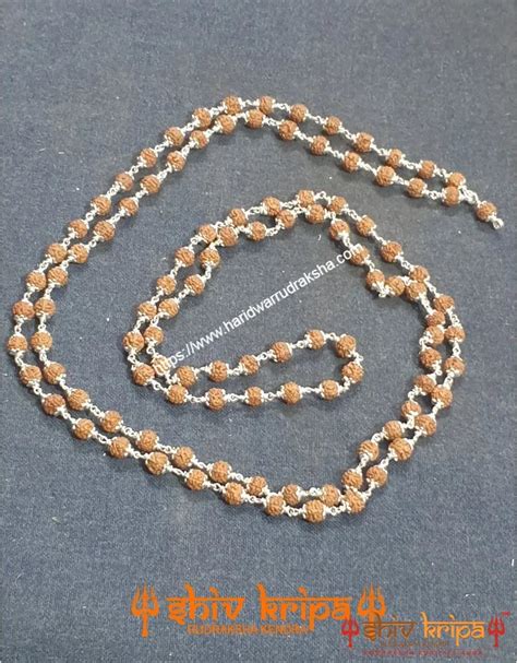 5 Mukhi Rudraksha Mala in Pure Silver – Shiv Kripa Rudraksha