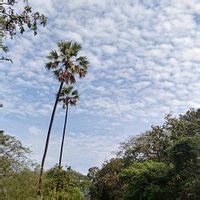 TUNGARESHWAR TEMPLE Guide (2026) All You Need to Know BEFORE You Go ...