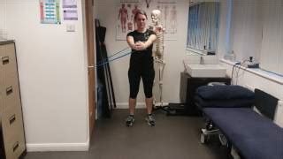 Image result for Anti-Rotation Lunge