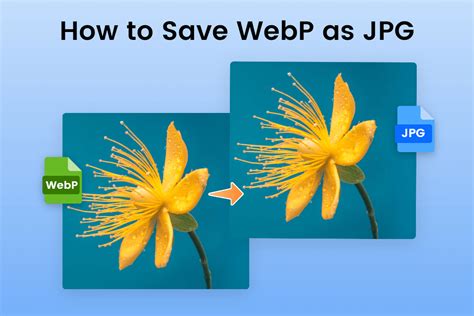 WebP File to GIF 的图像结果