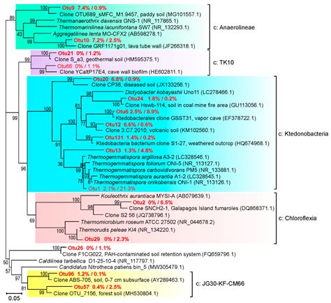 Thermophilic Chloroflexi Dominate in the Microbial Community Associated ...