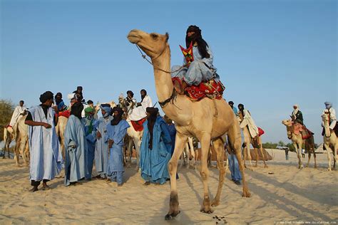 Tuareg Population
