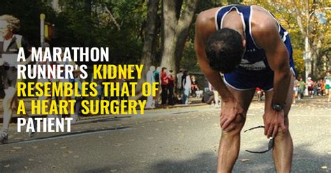 For Your Kidneys Running A Marathon Is As Stressful As A Traumatic ...