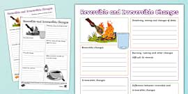 Reversible and Irreversible Changes Paper Quiz