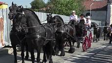 carrozza cavalli cavalli e carrozze in sfilata a san bernardo ivrea 2016 carrozza cavalli cavalli e carrozze in sfilata a san bernardo ivrea 2016
