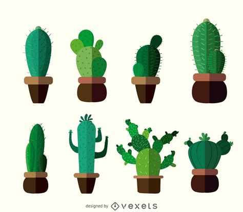 Flat Cactus Drawings Vector Download