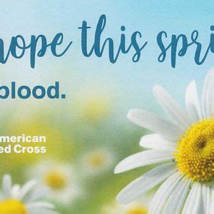 Red Cross Blood Drive, St. Peter's Lutheran Church in Verona N.Y., 13 ...