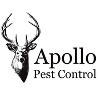 Image result for Apollo Pest Control