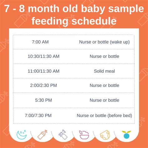 7 - 8 month old baby feeding schedule: Amounts, food chart, formula ...